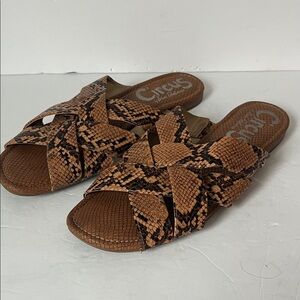 Circus by Sam Edelman Snake Print Slide Sandals | Chic Summer Staple, sz 10 🟡